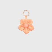 CHARM GARDENIA MELON